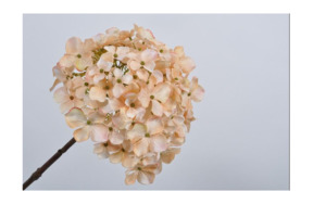 Цветок искусственный Silk-ka "Гортензия" 68см (розово-кремовый)