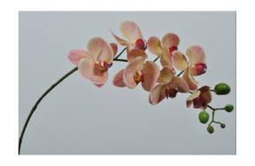 Цветок искусственный Silk-ka "Орхидея" 77см (оранжево-желтый)
