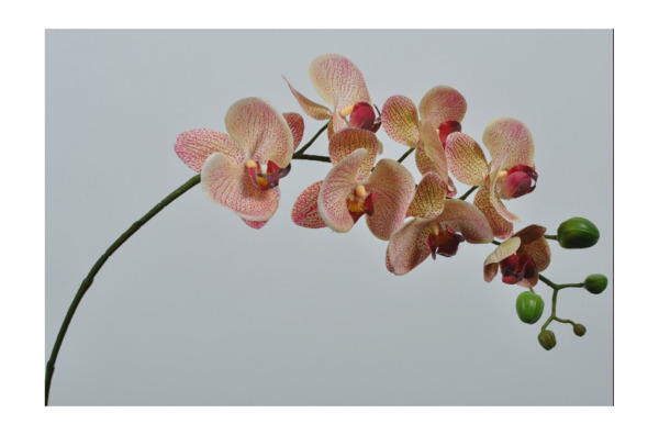 Цветок искусственный Silk-ka "Орхидея" 77см (оранжево-желтый)