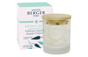 Свеча ароматическая Maison Berger Счастье 180 гр