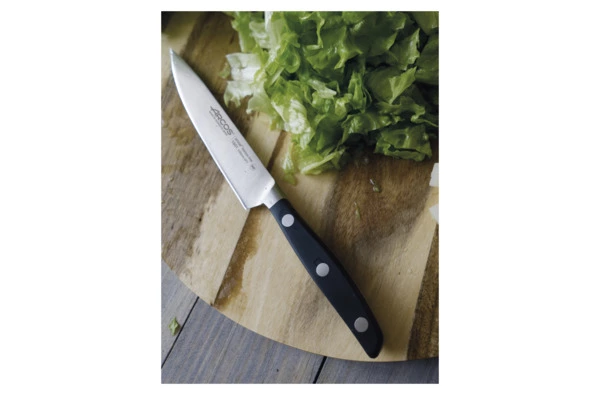 Нож для чистки овощей и фруктов Arcos Manhattan 10см, кованая сталь