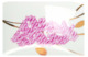 Сервиз столовый Дулевский фарфоровый завод Аппетитный Розовая ветка на 6 персон 29 предметов, фарфор