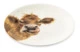 Тарелка десертная Royal Worcester Забавная фауна Корова 16,5 см, фарфор костяной