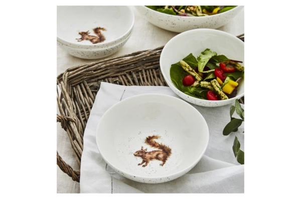 Салатник порционный Royal Worcester Забавная фауна Белка 15 см, фарфор костяной