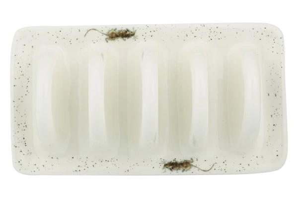 Подставка для тостов Royal Worcester Забавная фауна Мыши 19 см, фарфор костяной