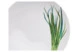 Тарелка для пасты Noritake Овощной букет Зеленый лук 23 см, фарфор