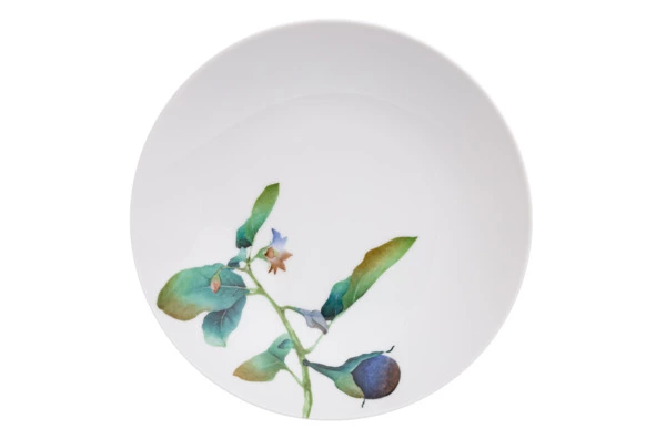 Тарелка для пасты Noritake Овощной букет Баклажан 23 см, фарфор