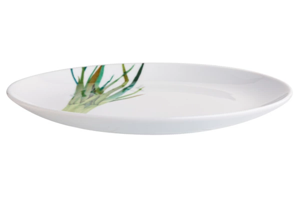 Тарелка закусочная Noritake Овощной букет Зеленый лук 24 см, фарфор