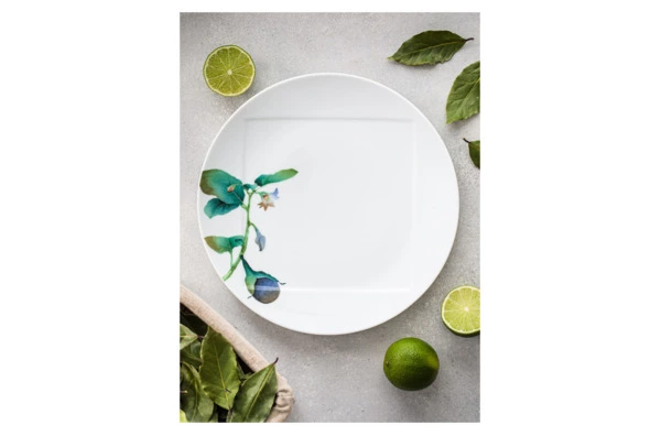 Тарелка закусочная Noritake Овощной букет Баклажан 24 см, фарфор