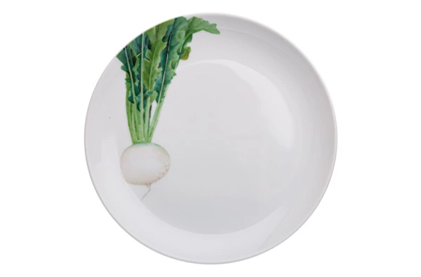 Тарелка закусочная Noritake Овощной букет Редька 24 см, фарфор