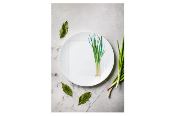 Тарелка обеденная Noritake Овощной букет Зеленый лук 27 см, фарфор