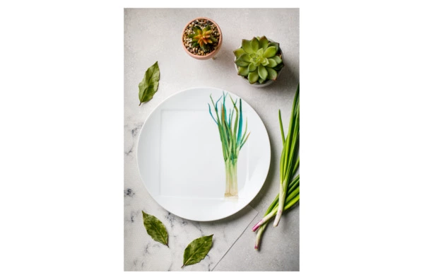 Тарелка обеденная Noritake Овощной букет Зеленый лук 27 см, фарфор