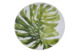 Тарелка закусочная Certified Int. Пальмовые листья 22 см, керамика, в ассортименте