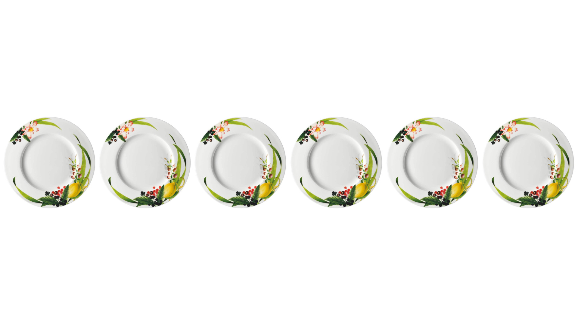 Набор тарелок закусочных с бортом Rosenthal Фруктовый сад 23см, фарфор, 6 шт