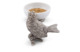 Чаша для соуса и специй Vagabond House Птичья трель 10 см, керамика