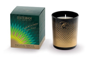 Свеча ароматическая Esteban 1000 и 1 ель 170 г