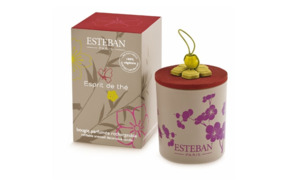 Свеча ароматическая деко Esteban Зеленый чай 170 г