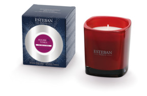 Свеча ароматическая Esteban Инжир и Тонка 170 гр