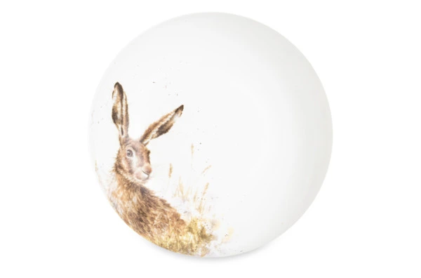 Тарелка для пасты Royal Worcester Забавная фауна Заяц 22 см, фарфор костяной