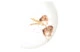 Тарелка для пасты Royal Worcester Забавная фауна Мыши 22 см, фарфор костяной