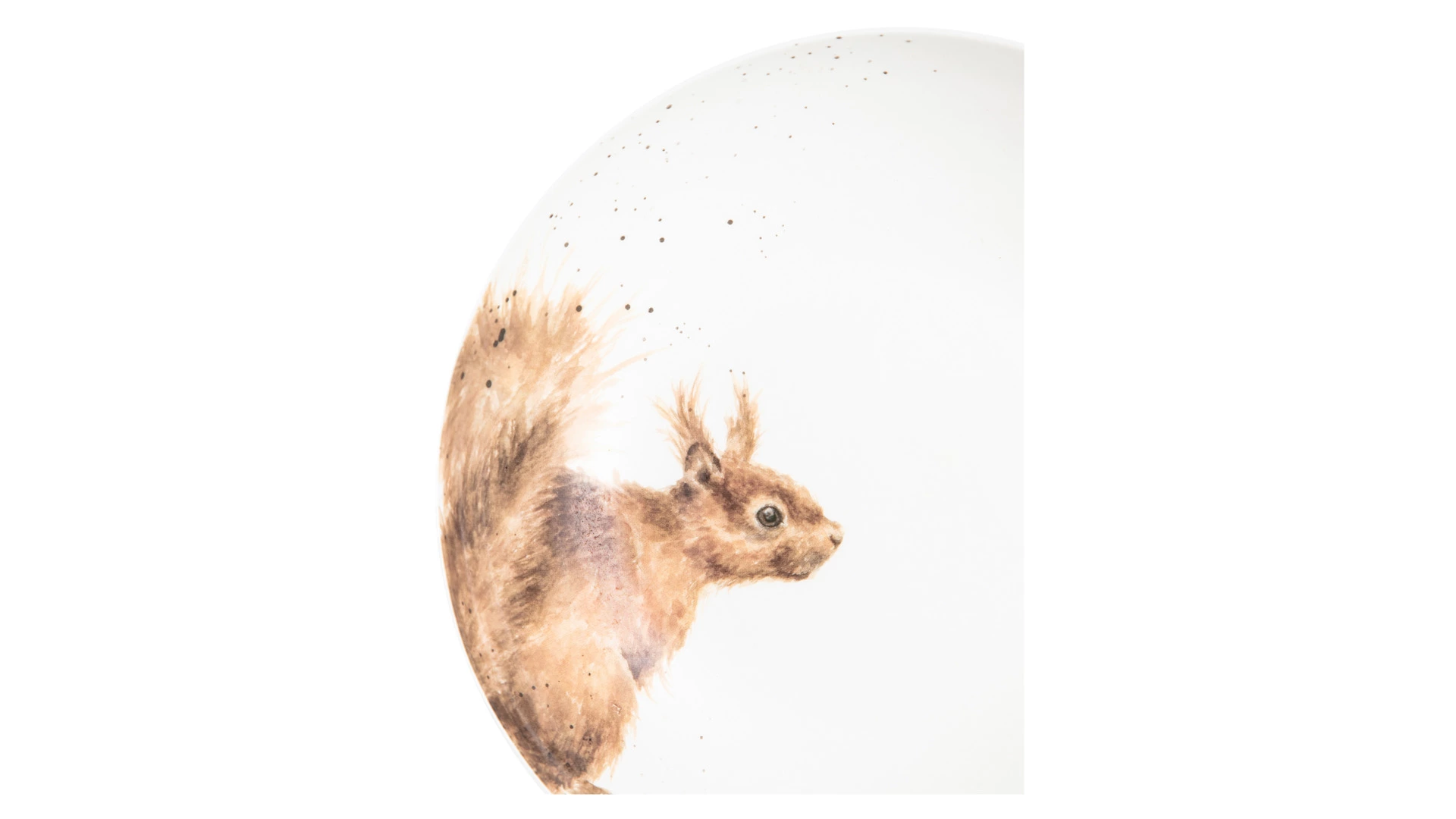 Тарелка для пасты Royal Worcester Забавная фауна Белка 22 см, фарфор костяной
