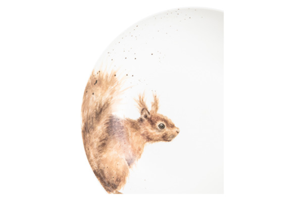 Тарелка для пасты Royal Worcester Забавная фауна Белка 22 см