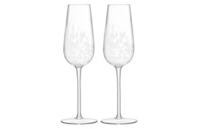 Набор бокалов для шампанского LSA International Stipple 250 мл, 2 шт, стекло