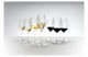 Набор бокалов для белого вина Riedel Performance Sauvignon Blanc 440мл,H24,5см, 2шт, стекло хрусталь