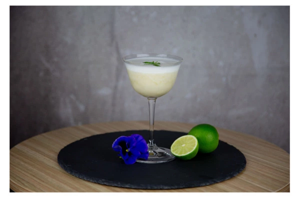 Набор бокалов для коктейля Riedel Bar Sour 217 мл, h16 см, 2шт, стекло хрустальное