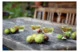 Набор стаканов для белого вина Riedel O Wine Viognier/Chardonnay 335 мл, 2шт