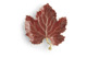 Чаша-лист Michael Aram Виноградная лоза 20 см, красный