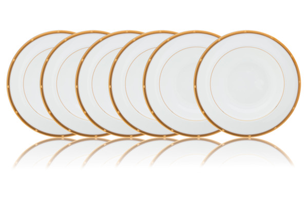 Набор из 6 тарелок обеденных Noritake "Рочель,золотой кант" 27см