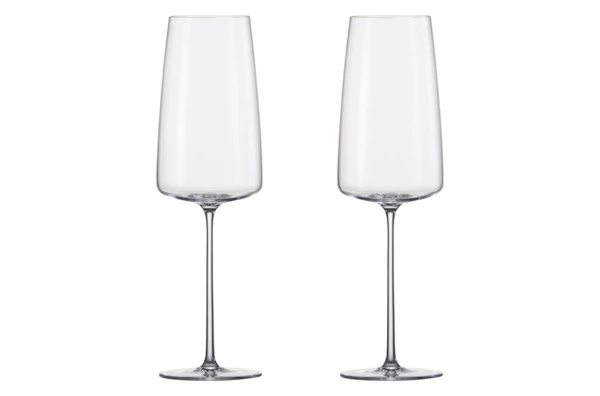 Набор бокалов для вина Zwiesel Glas Легкость 485 мл 2 шт, для фруктовыхи легких вин,  п/к