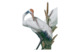 Фигурка Lladro Танцующие журавли 18x28 см, фарфор