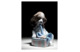 Фигурка Lladro Нетерпение 12x13 см, фарфор