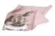 Полотенце кухонное Pimpernel Забавная фауна Пушистый кролик 74х45 см, хлопок