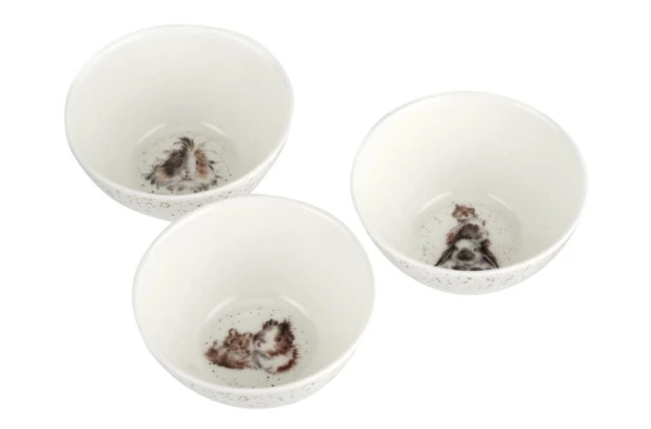 Набор из 3 салатников на подносе Royal Worcester Забавная фауна Морские свинки, 30x15 см