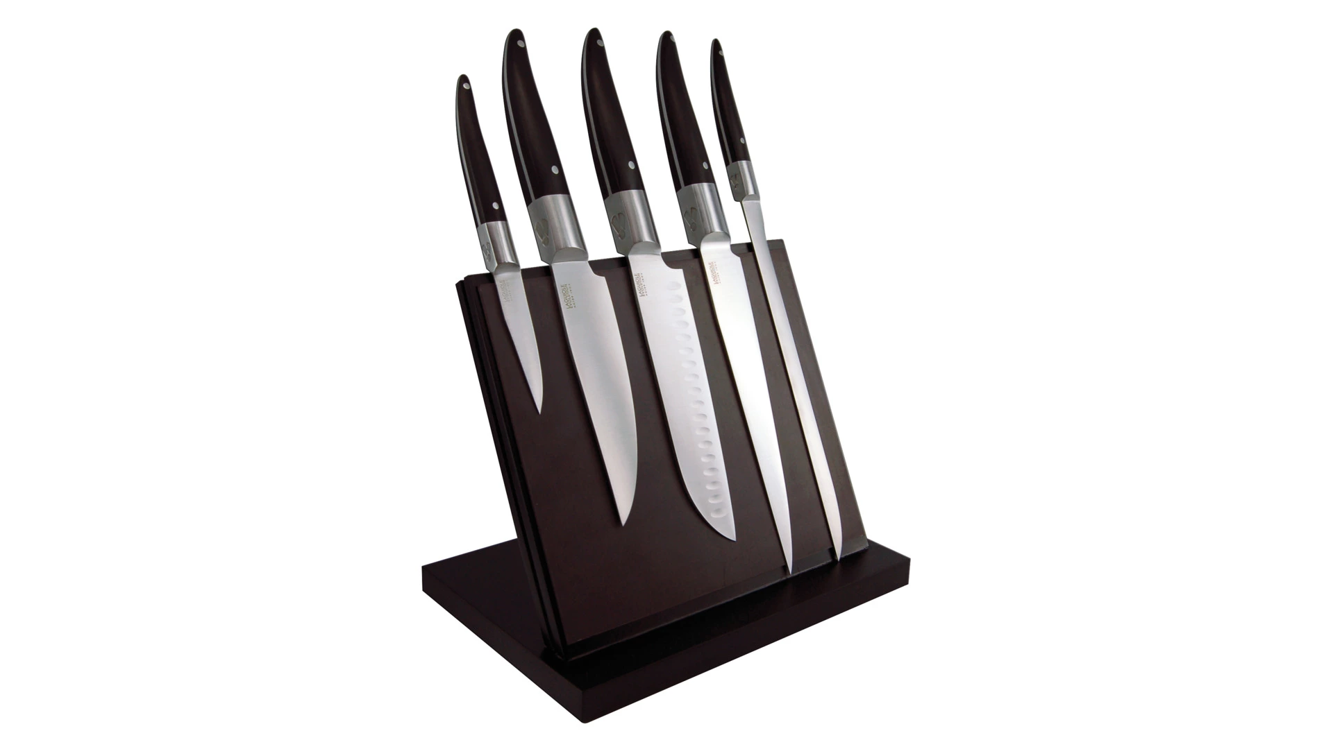 Набор кухонных ножей Tarrerias Bonjean Лайоль-Экспрессия на магнитном блоке, 5 шт