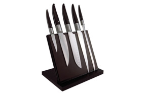Набор кухонных ножей Tarrerias Bonjean Лайоль-Экспрессия на магнитном блоке, 5 шт