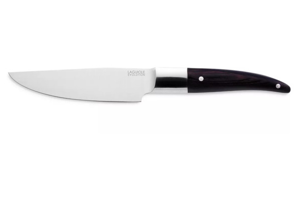 Набор кухонных ножей Tarrerias Bonjean Лайоль-Экспрессия на магнитном блоке, 5 шт