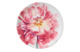 Тарелка закусочная Certified Int Весенний Букет Розовый цветок 23 см, керамика