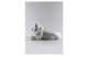 Фигурка Lladro Лев с львенком 44x21 см, фарфор