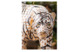 Фигурка Herend Суматранский тигр 13см, фарфор