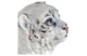 Фигурка Meissen Символ Года.Тигр с белым мехом 12см, фарфор