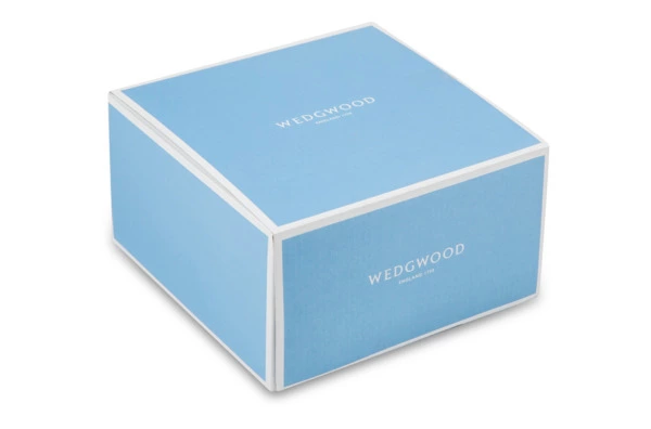 Чашка чайная с блюдцем Wedgwood Джио 260 мл, фарфор костяной, п/к