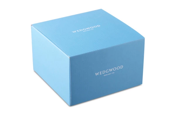 Чашка кофейная с блюдцем Wedgwood Джио 90 мл, фарфор костяной, п/к