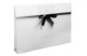 Платок Radical Chic Cow wow 120x120см, шерсть