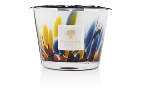 Свеча ароматическая Baobab Collection Rainforest Max 10 Mayumbe 500 гр