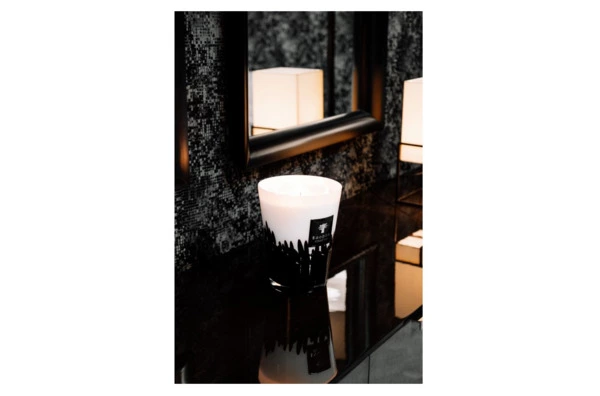 Свеча ароматическая Baobab Collection Feathers Max 10 Feathers 500 гр