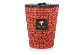 Свеча ароматическая Baobab Collection FotyMax 24 3000 гр